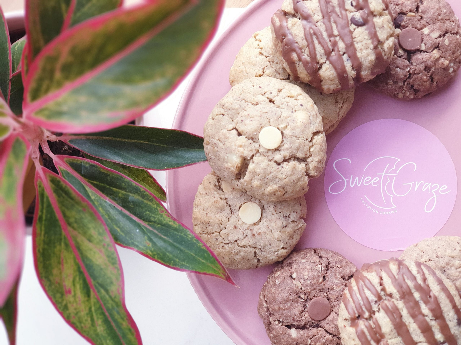 Best Healthy Lactation Cookies Melbourne Australia | Buy Online