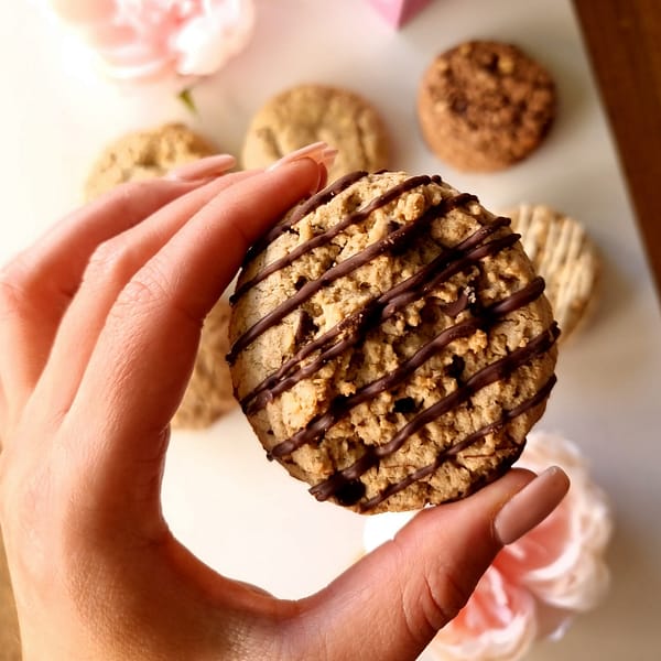 dairy free lactation cookies