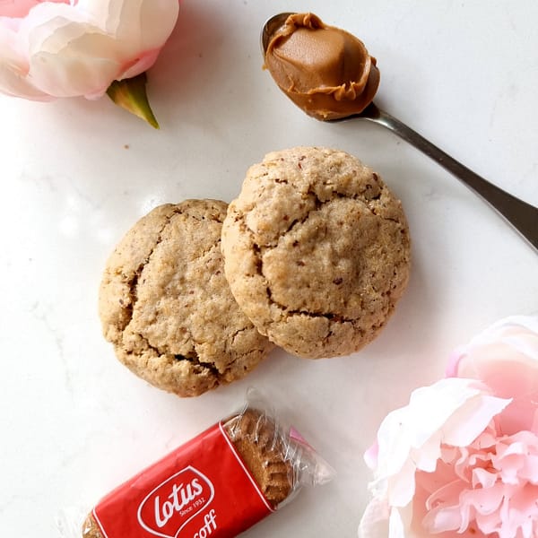 Vegan Lactation Cookies